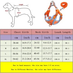 No Pull Pet Dog hám és póráz készlet Állítható kiskutya macska hám mellény Fényvisszaverő sétáló póráz kis kutyáknak Chihuahua