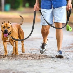 Macskák Kutyák Hám nyakörv ólomszíj Éjszakai tükörkép Kutya Háziállat Vontatókötél 1,2/1,5/1,8 m Védőkötél Kisállatsétáltató pór