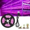 DC 5V USB LED Grow Light teljes spektrumú növényi fény LED szalag fito zöldség virág palánta termesztő lámpa