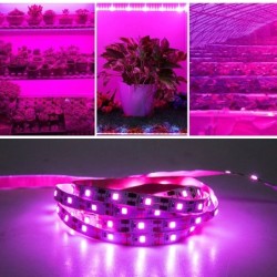 DC 5V USB LED Grow Light teljes spektrumú növényi fény LED szalag fito zöldség virág palánta termesztő lámpa