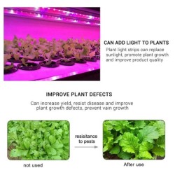 DC 5V USB LED Grow Light teljes spektrumú növényi fény LED szalag fito zöldség virág palánta termesztő lámpa