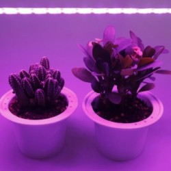 DC 5V USB LED Grow Light teljes spektrumú, 1-5 m-es növényi megvilágítású LED szalagos fitolámpa zöldség virágpalánta termesztő 