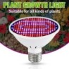 E27 LED Grow Light 85-265V teljes spektrumú fitolámpa Led hidroponikus növényi izzónövekedési fénysátor üvegházhatású zöldségek 