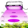 Teljes spektrumú LED Grow Light fitolámpa AC 220V 50W 100W 150W EU csatlakozóval üvegházhatású hidroponikus növények növekedéséh