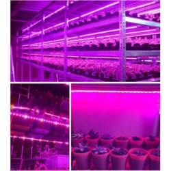 LED Grow Light Teljes spektrumú USB növekedési fénycsík 0,5 m 1 m 2 m 2835 Chip LED fitolámpa növényekhez Virágok Üvegházhatású 