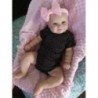 NPK 50/60CM Két opciós Reborn Baby Doll Toddler, igazi puha tapintású Maddie kézzel rajzolt hajjal, kiváló minőségű kézzel készí