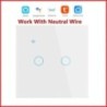 WiFi Smart Switch EU Light Wall Touch Switch 220V Neutral Wire Tuya Smart Life Work with Alexa Google Home 1/2/3/4 Gang